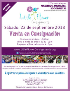 Venta en Consignacion 2018